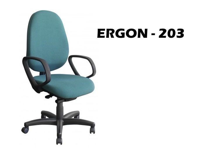 ERGON-203.jpg