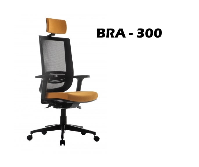 BRA-300.jpg