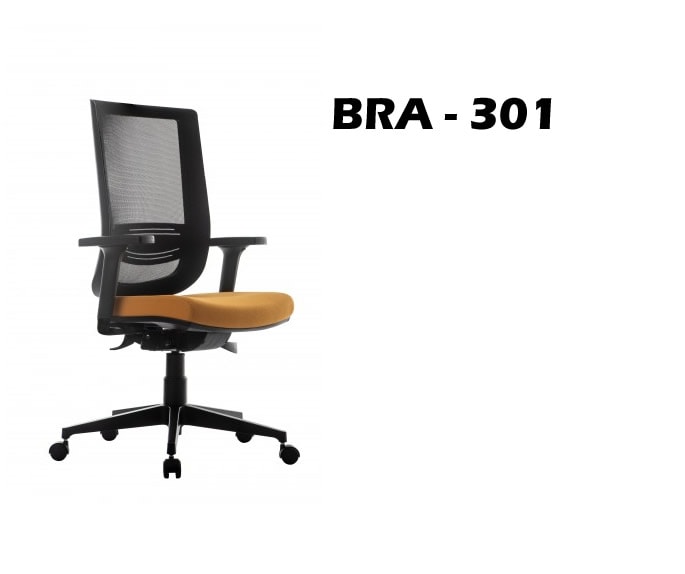 BRA-301.jpg