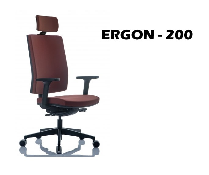 ERGON-200.jpg