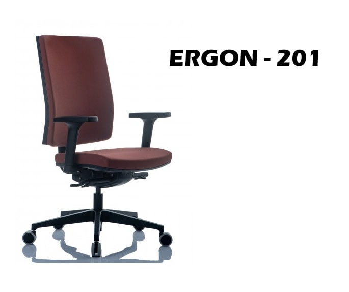 ERGON-201.jpg